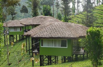 Wild Planet Resort 4*