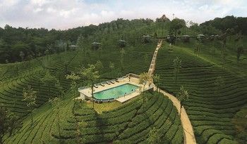 Wild Planet Resort 4*