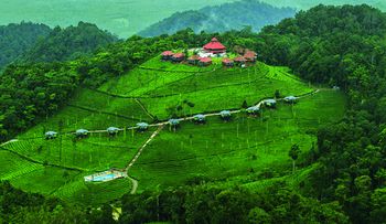 Wild Planet Resort 4*