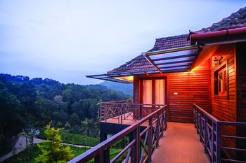 Wild Planet Resort 4*