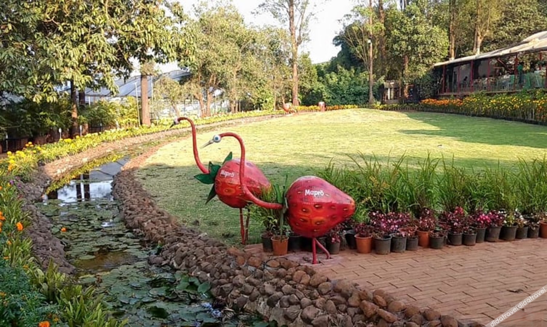 Regenta Place Green Leaf Mahabaleshwar 3*