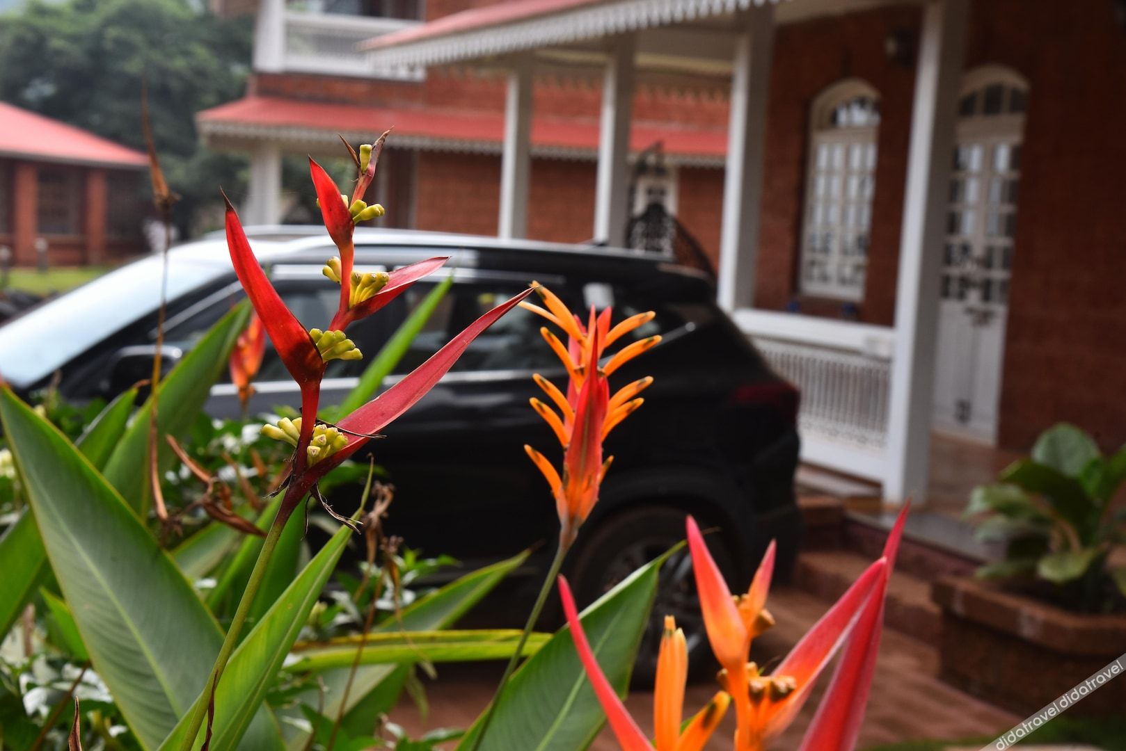 Regenta Place Green Leaf Mahabaleshwar 3*