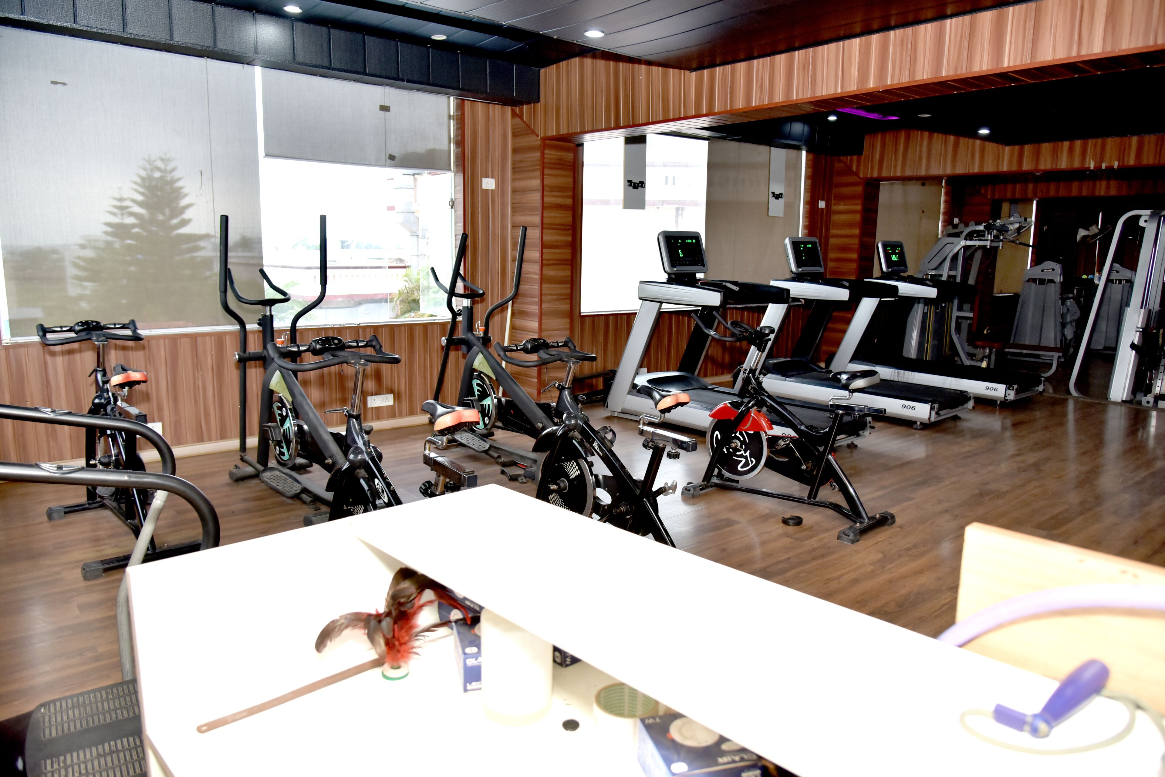 Hotel Padmini Palace 3*