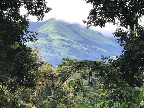 Western Ghats Holiday Home 2*