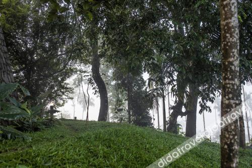 Great Trails Wayanad by GRT Hotel 4*