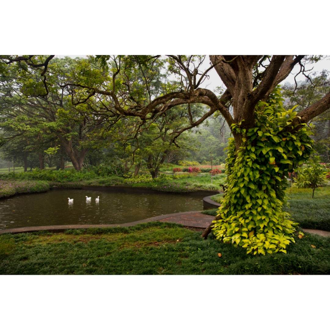 Ama Stays & Trails Sluice House, Lonavala 0*