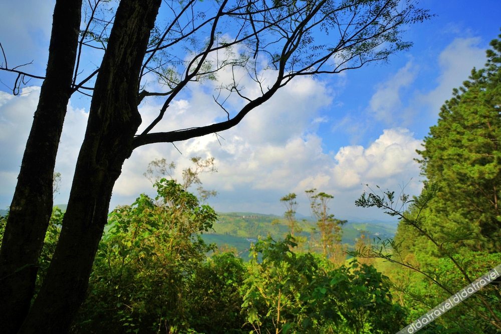 Adrak Summer Sand Hill Resort Vagamon 3*