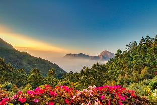 Chandys Drizzle Drops Munnar Top Station 4*