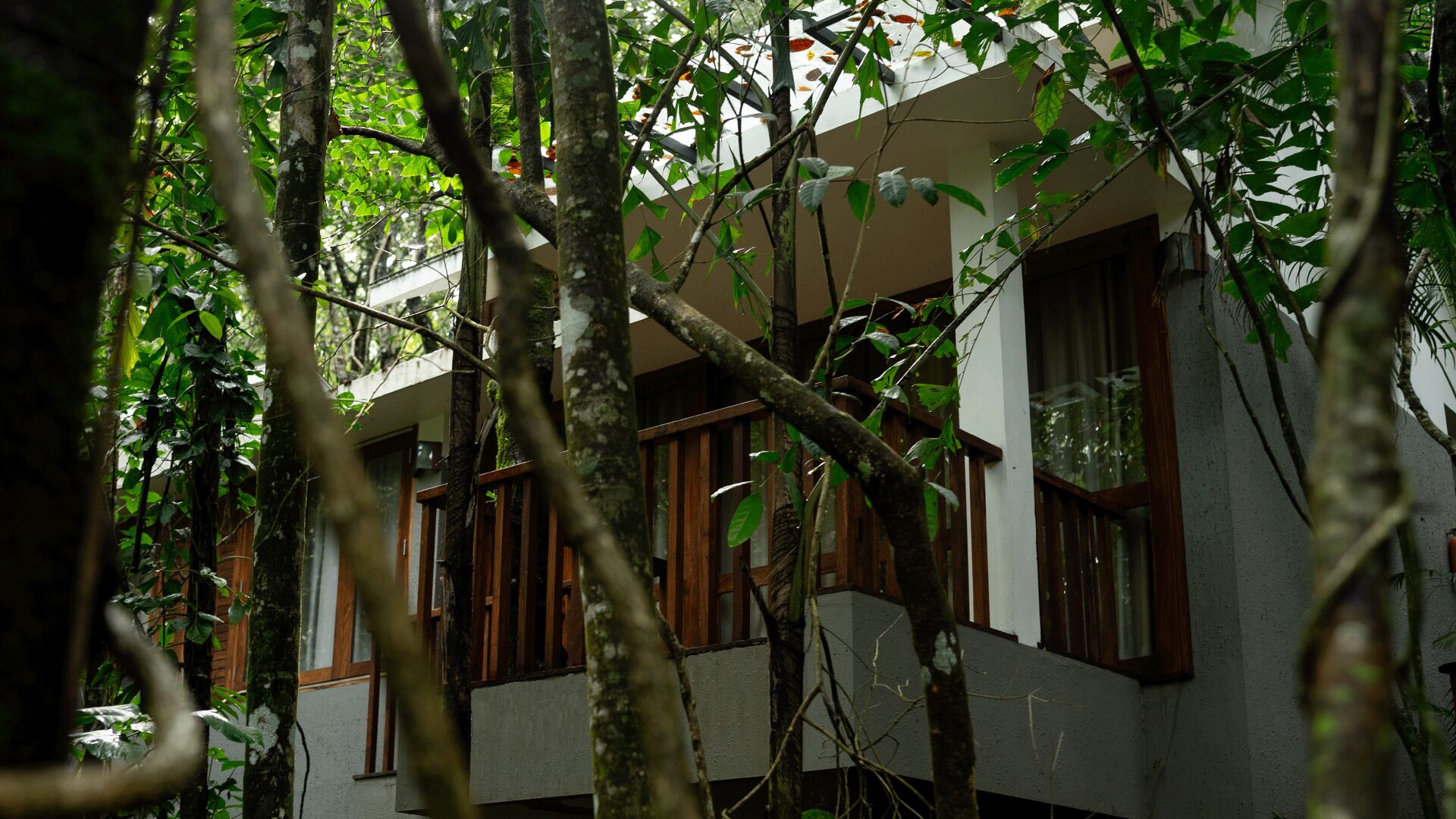 Wayanad Silverwoods Forest Resort & Spa 4*