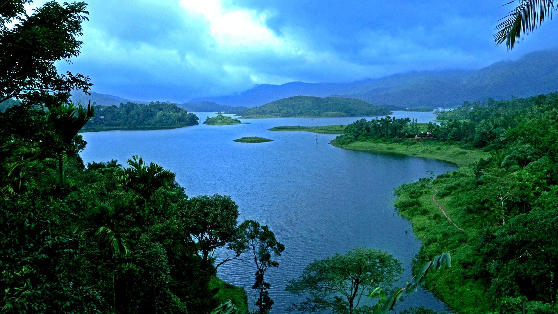 Wayanad Silverwoods Forest Resort & Spa 4*