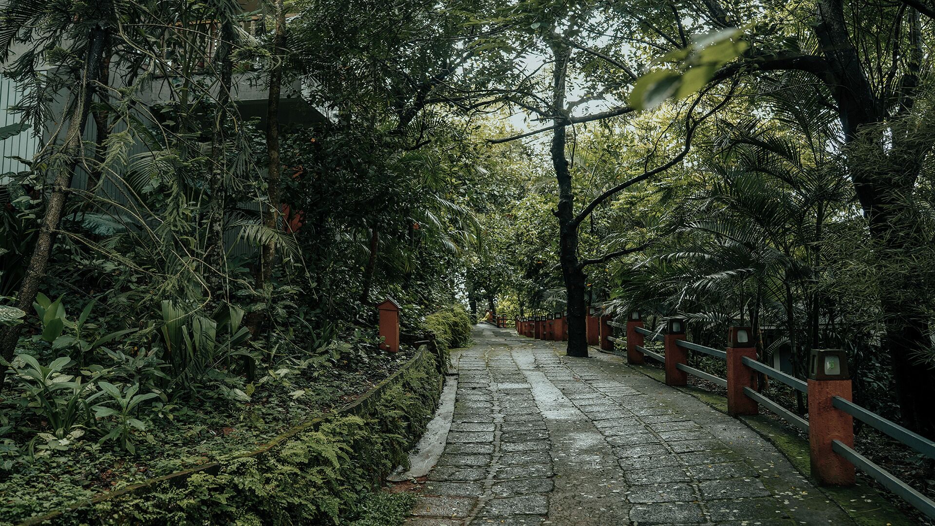 Wayanad Silverwoods Forest Resort & Spa 4*