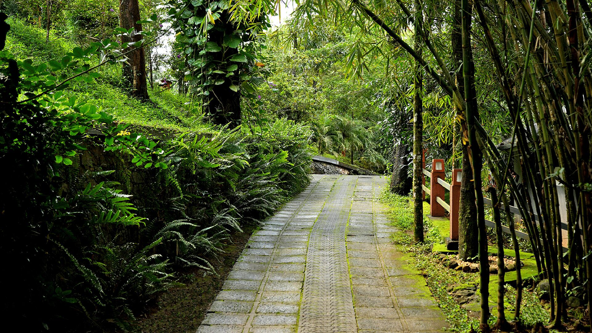 Wayanad Silverwoods Forest Resort & Spa 4*