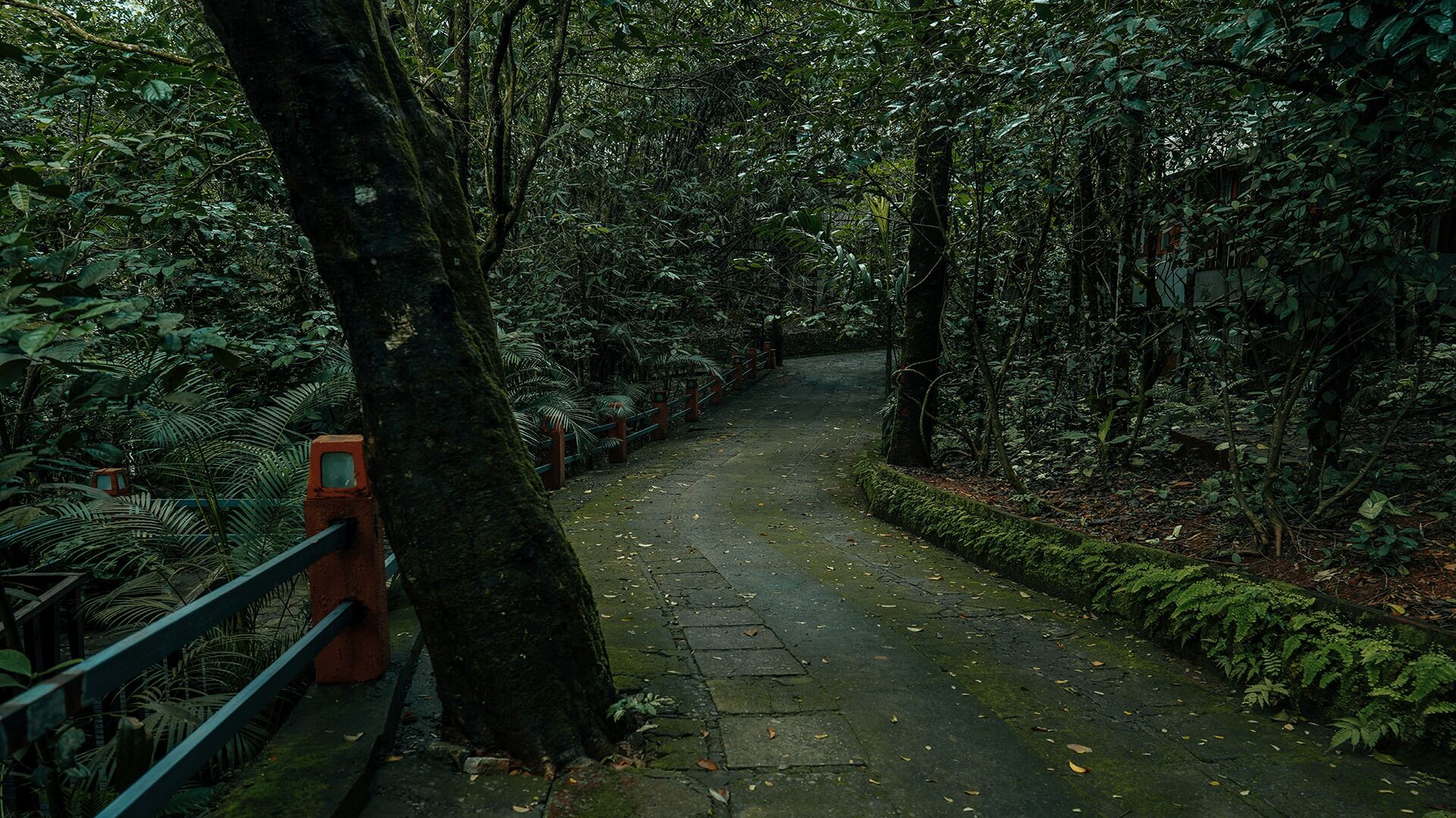 Wayanad Silverwoods Forest Resort & Spa 4*