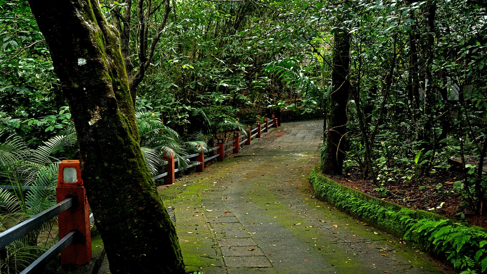 Wayanad Silverwoods Forest Resort & Spa 4*