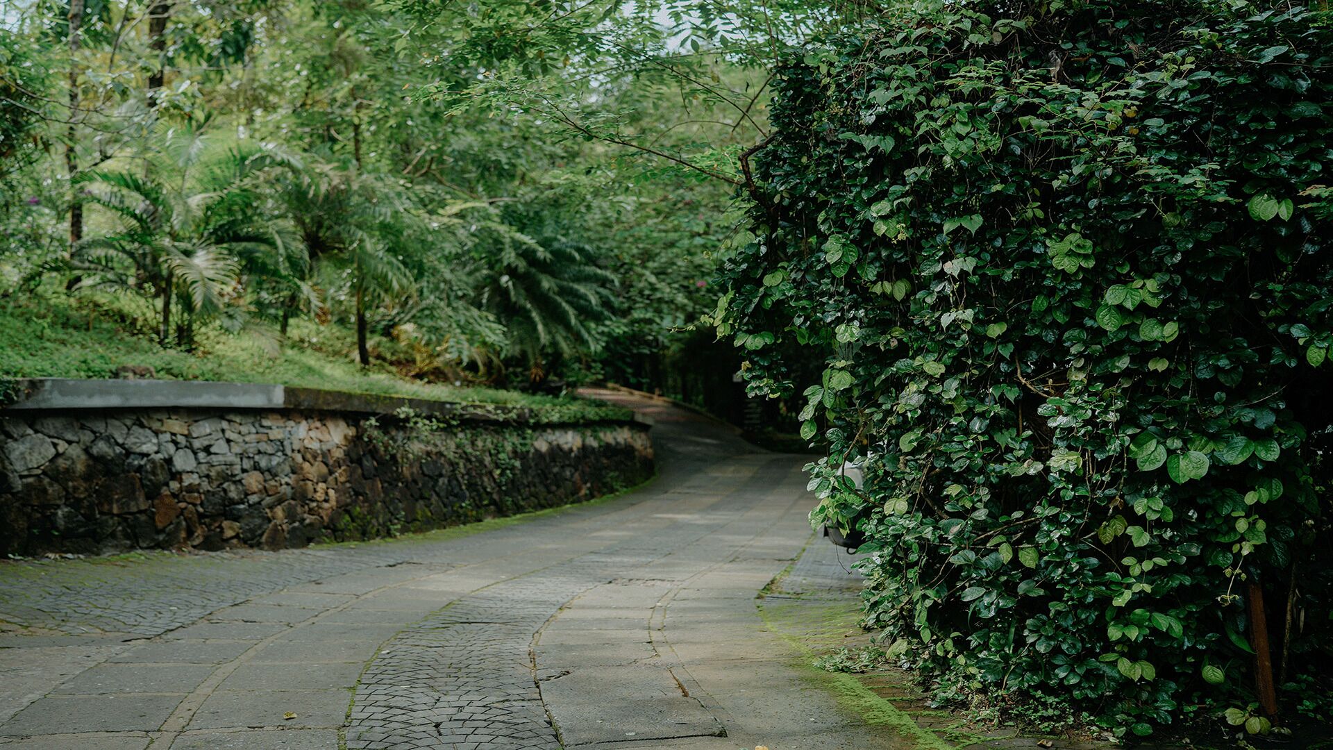 Wayanad Silverwoods Forest Resort & Spa 4*