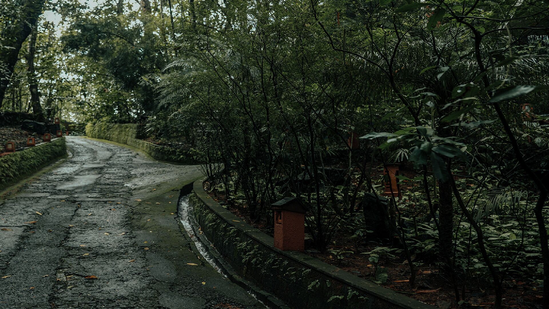 Wayanad Silverwoods Forest Resort & Spa 4*