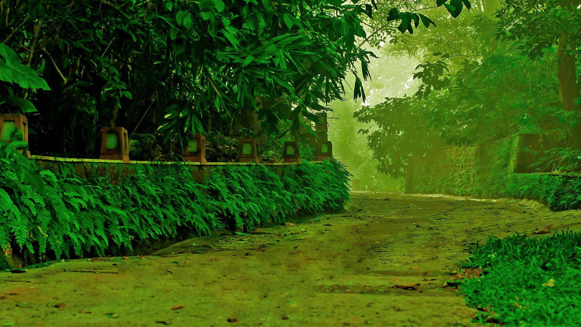 Wayanad Silverwoods Forest Resort & Spa 4*
