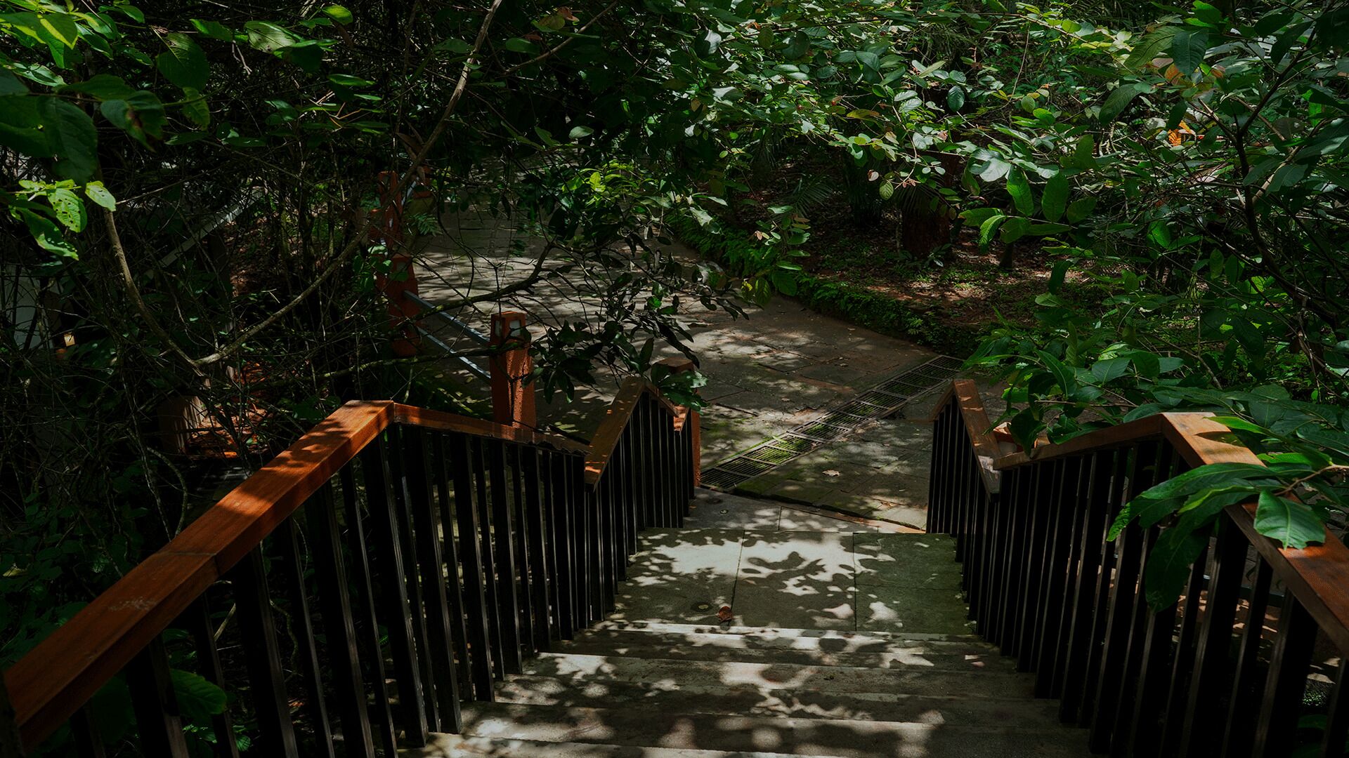 Wayanad Silverwoods Forest Resort & Spa 4*
