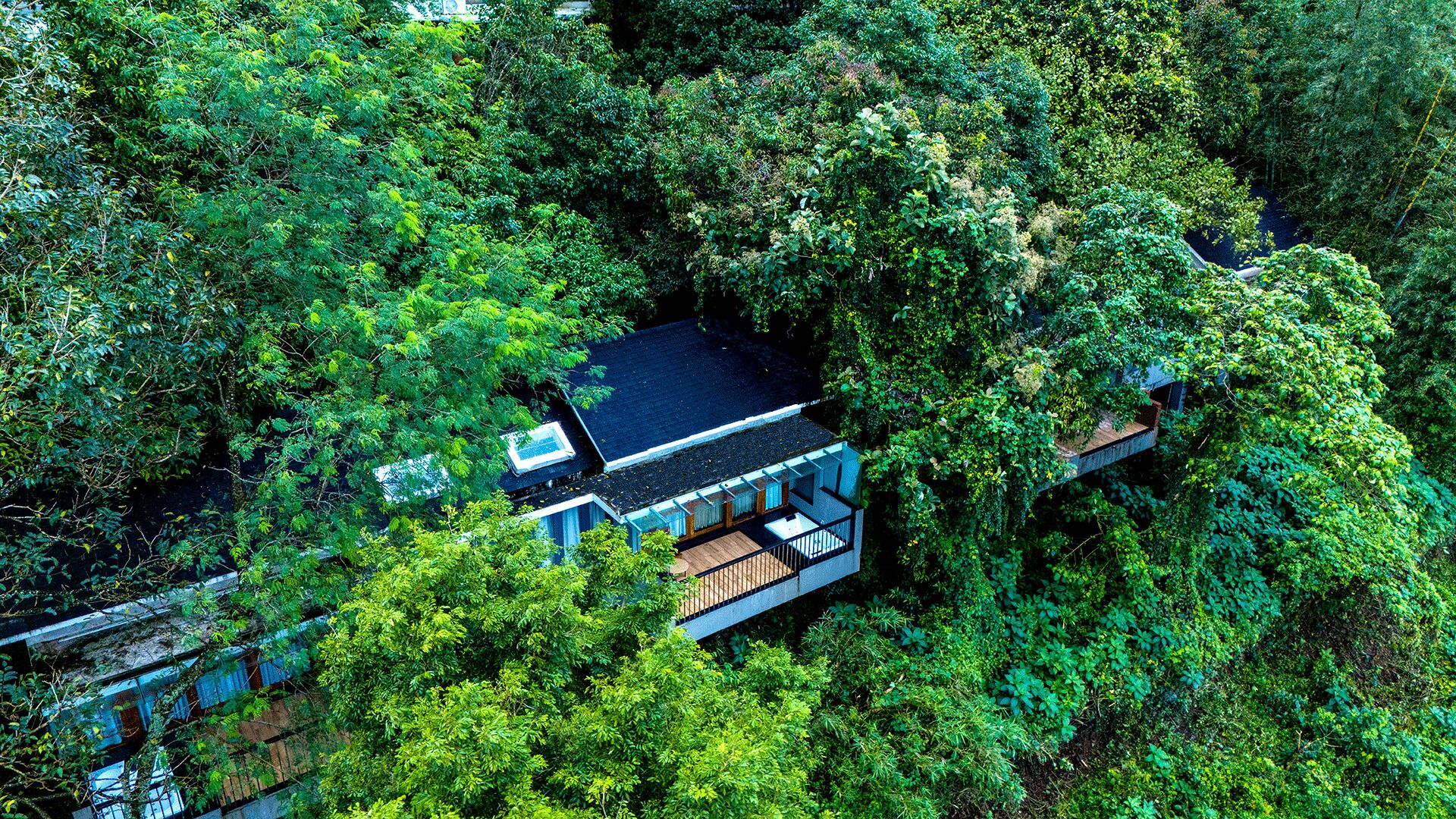Wayanad Silverwoods Forest Resort & Spa 4*