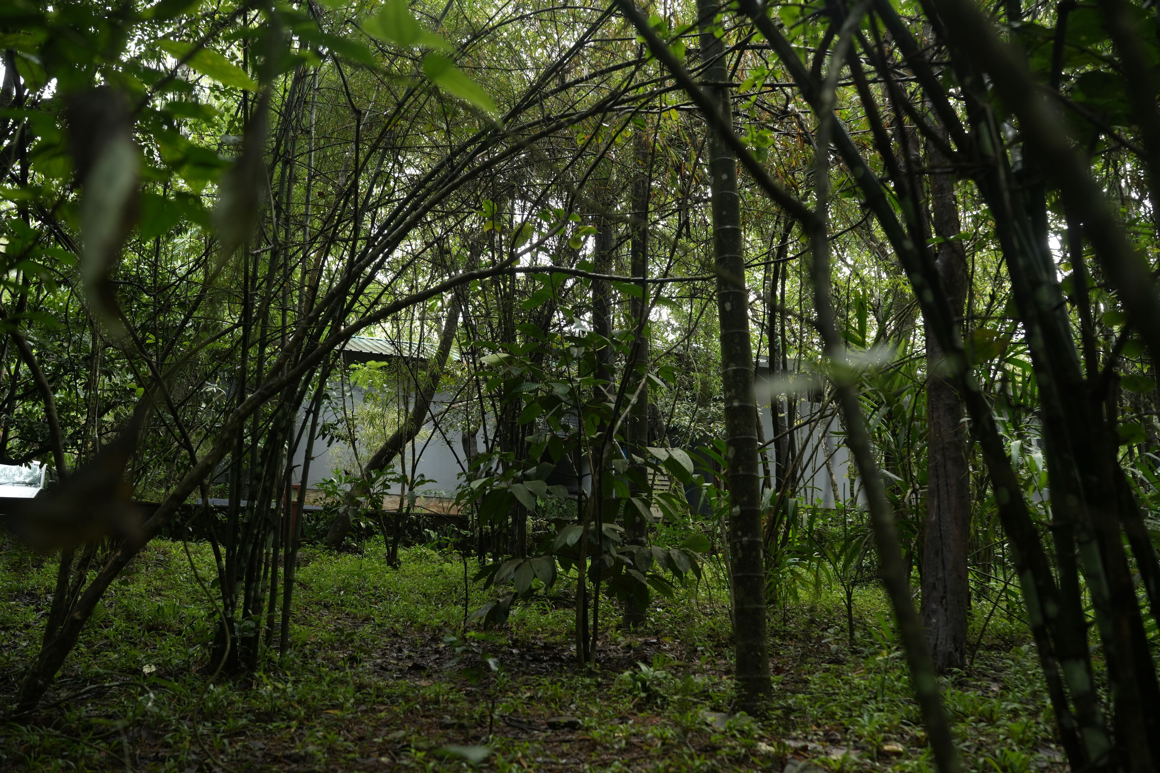 Wayanad Silverwoods Forest Resort & Spa 4*