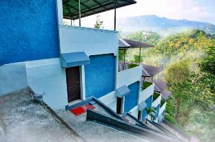 The View Munnar 3*