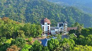 The View Munnar 3*
