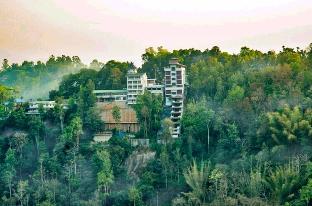 The View Munnar 3*