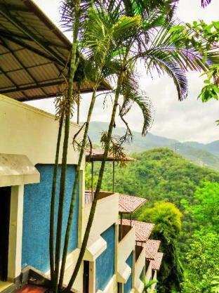 The View Munnar 3*