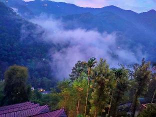 The View Munnar 3*