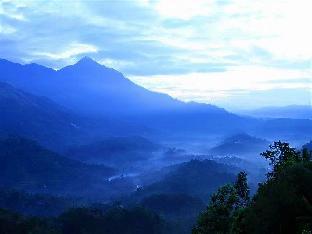 The View Munnar 3*