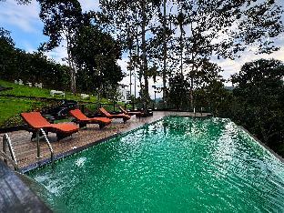 Viceroy Luxury Mountain Resort 3*