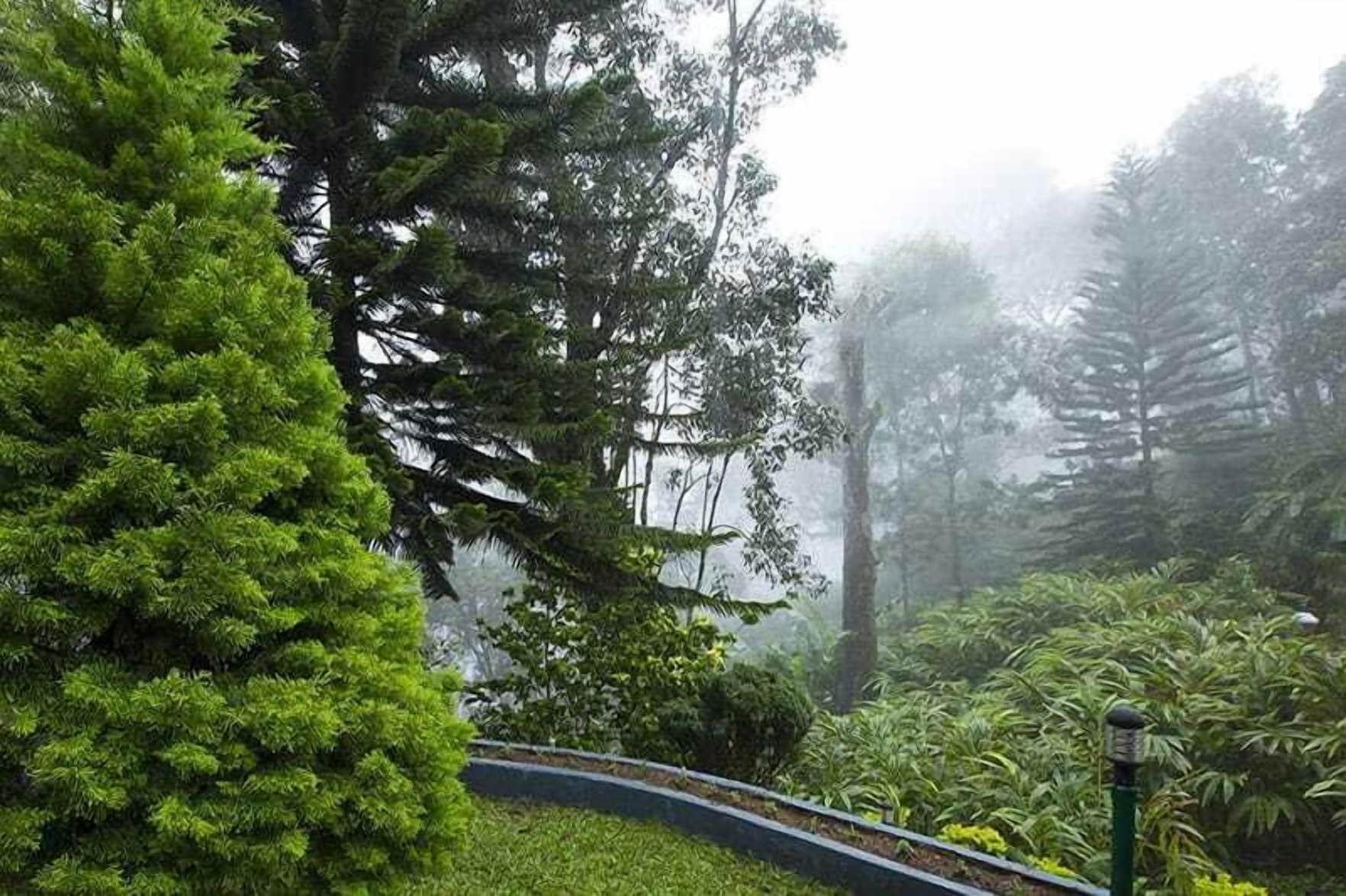 Bracknell Resort Munnar 3*