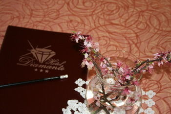 Hotel Diamante 3*