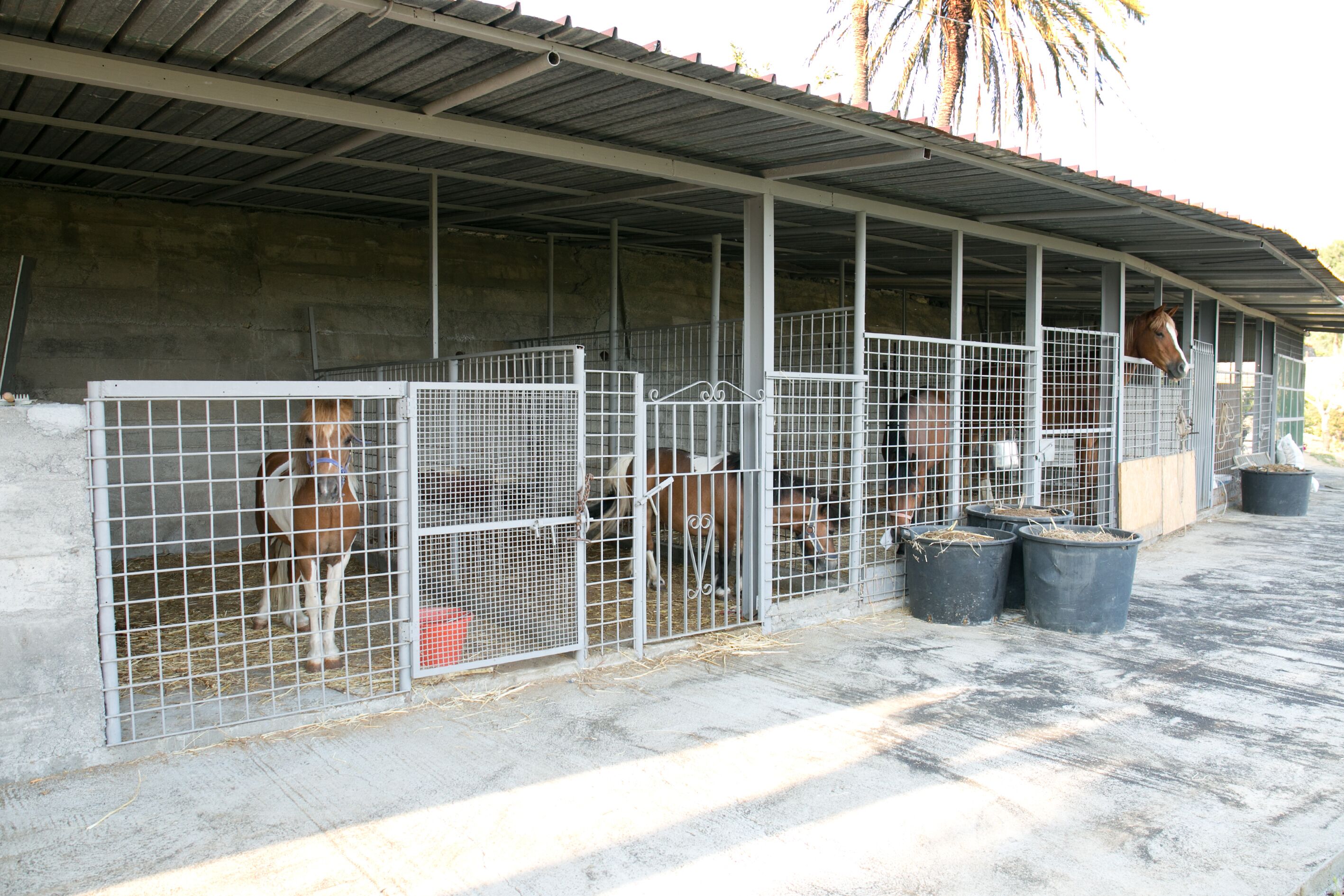 Don Vittorio Country Village 0*