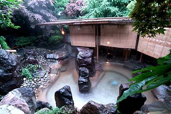 Yugawara Spa Ryokan Ashikari 3*