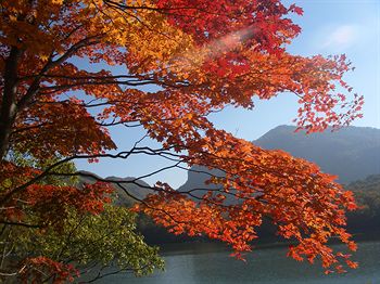 Shiga Park Hotel 3*