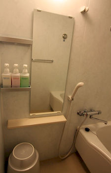 Toyama Manten Hotel 3*