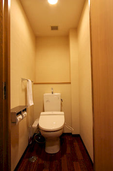 Toyama Manten Hotel 3*