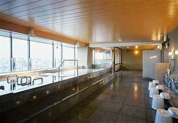 Toyama Manten Hotel 3*