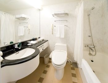 ANA Crowne Plaza Toyama by IHG 4*