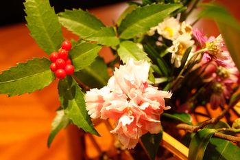Arima Hot spring Ryokan Hanamusubi 4*