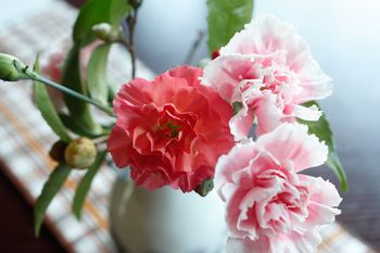 Arima Hot spring Ryokan Hanamusubi 4*