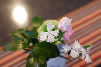 Arima Hot spring Ryokan Hanamusubi 4*