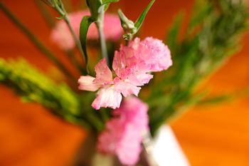 Arima Hot spring Ryokan Hanamusubi 4*