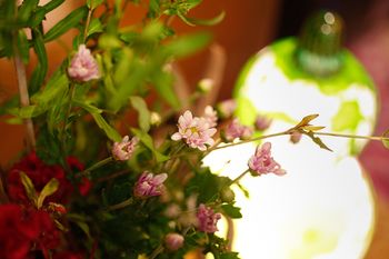 Arima Hot spring Ryokan Hanamusubi 4*