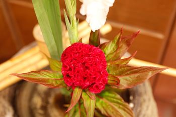 Arima Hot spring Ryokan Hanamusubi 4*