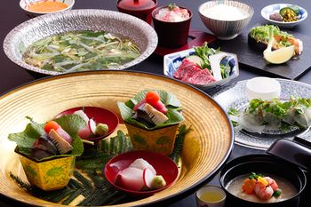 Arima Hot spring Ryokan Hanamusubi 4*