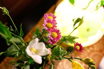 Arima Hot spring Ryokan Hanamusubi 4*