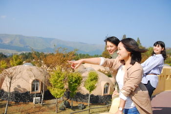 ASO Farm Land 3*