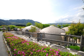 ASO Farm Land 3*